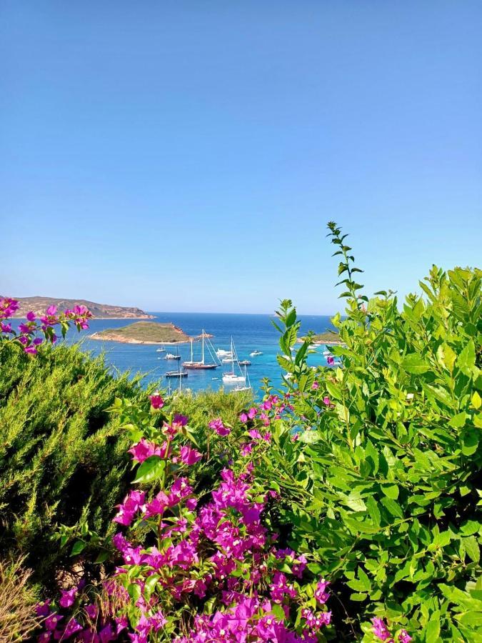 San Teodoro Punta Est Fantastico Trilocale Vista Mare Capo Coda Cavallo Exterior foto