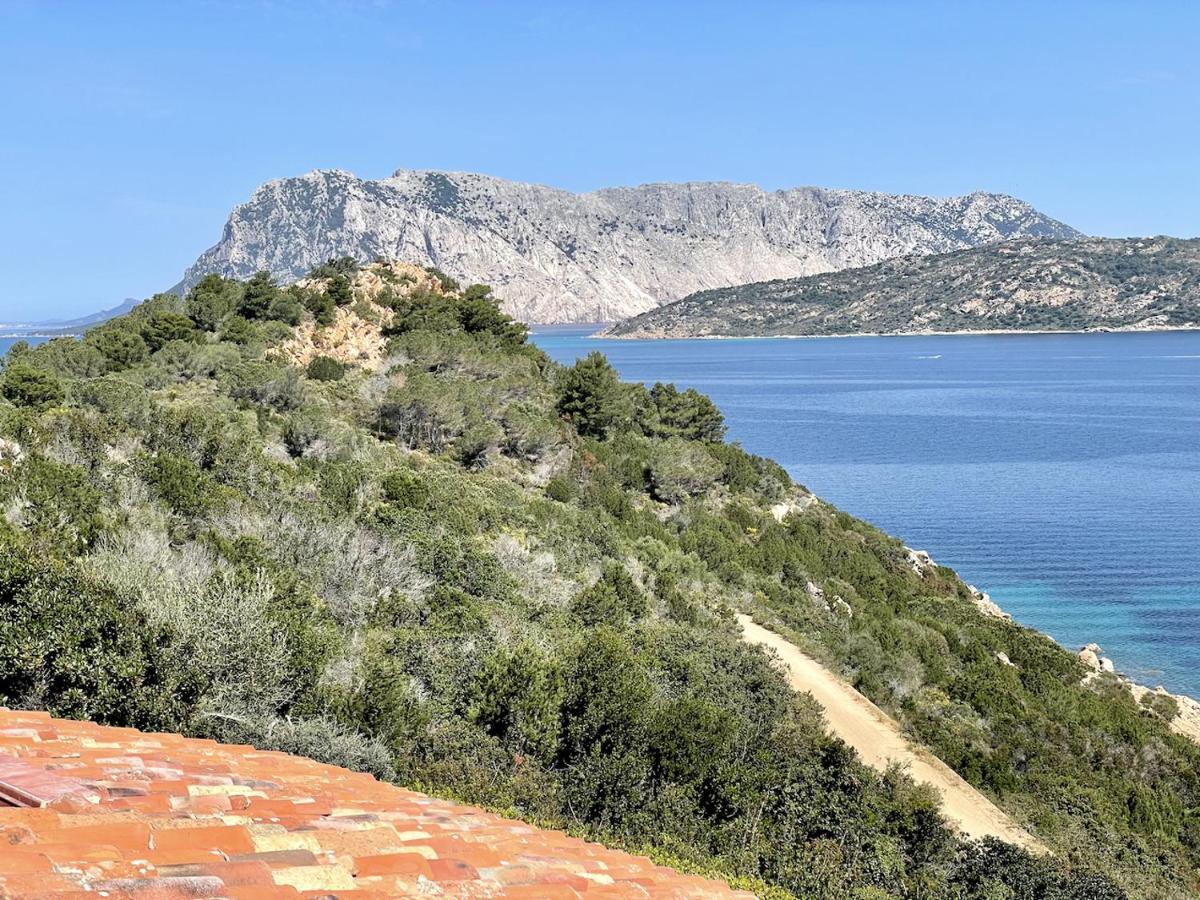 San Teodoro Punta Est Fantastico Trilocale Vista Mare Capo Coda Cavallo Exterior foto