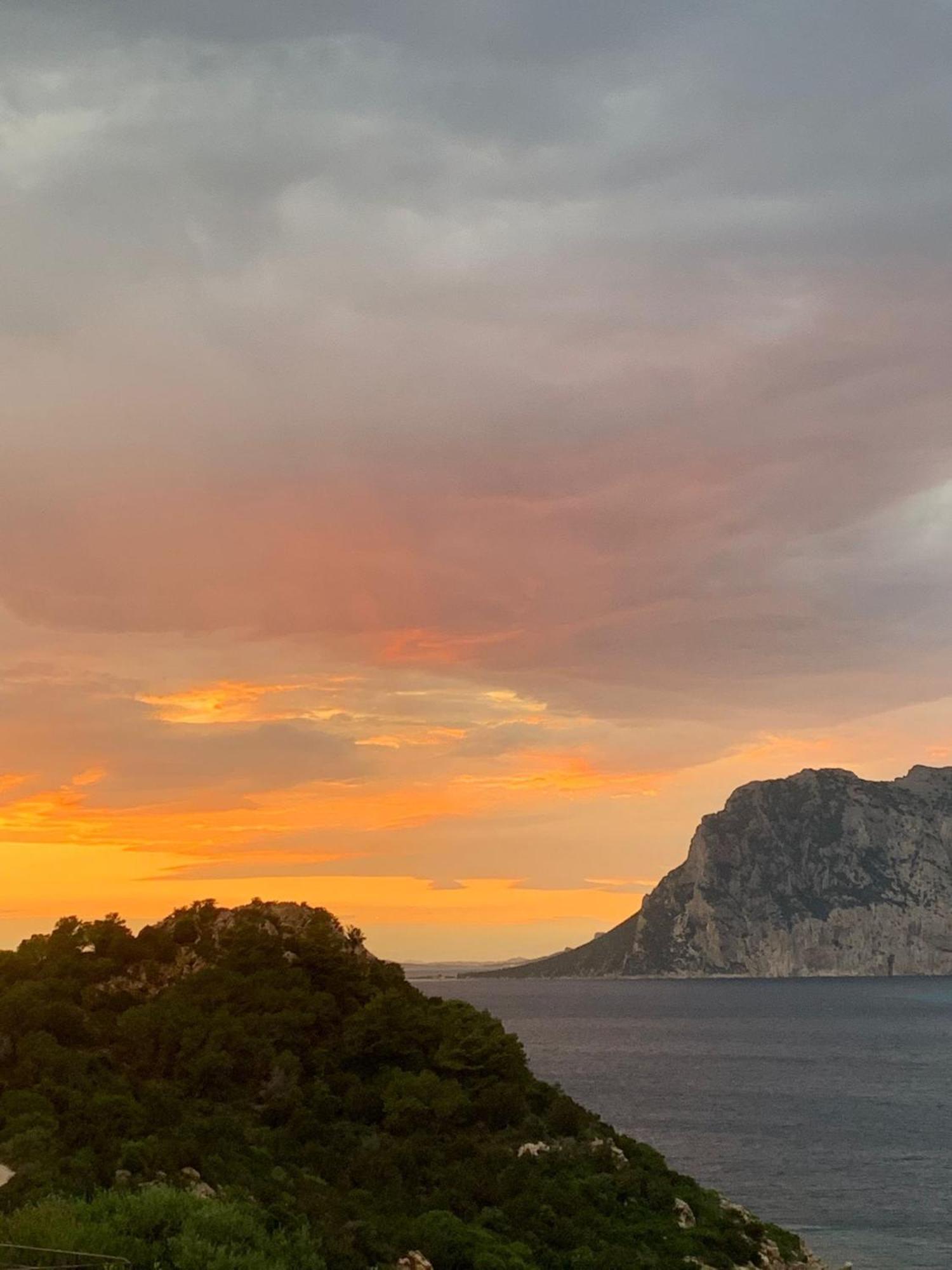 San Teodoro Punta Est Fantastico Trilocale Vista Mare Capo Coda Cavallo Exterior foto